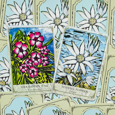 Australian Wildflower Reading Cards Deck Rockpool Cheralyn Darcey Guidebook NEW