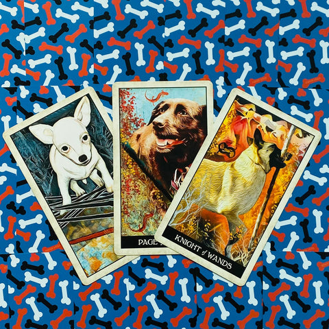 Wise Dog Tarot Cards Deck US Games Systems Mj Cullinane Esoteric 2020 NEW