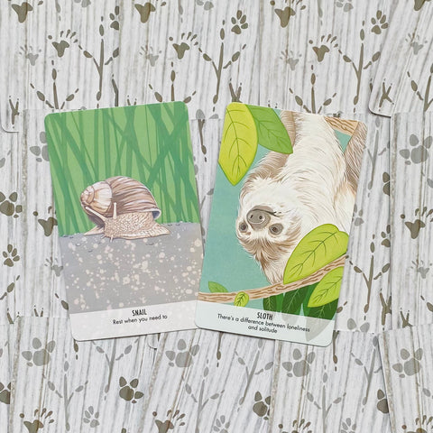 Unusual Animal Messages Oracle Cards Deck & Book Cico Books Manda Comisari NEW