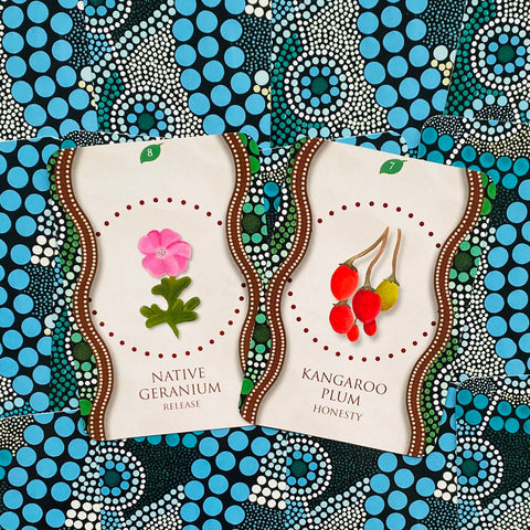 Aboriginal Healing Oracle Cards Deck Rockpool Esoteric Mel Brown Divination NEW