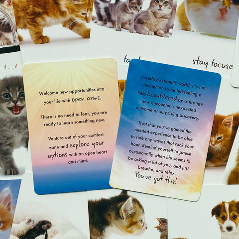 Cat Wisdom Cards Deck Inspirational Uplifting Tanya Graham Blue Angel NEW