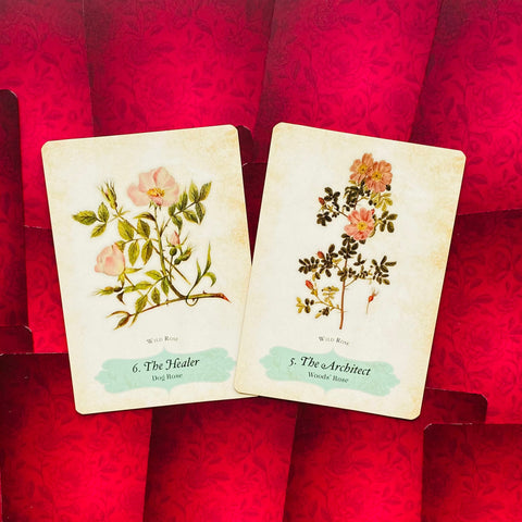 Oracle Of The Roses Cards Rockpool Cheralyn Darcey 44 Divinely Illustrated NEW
