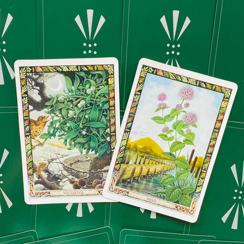 The Druid Plant Oracle Cards & Guidebook Welbeck Publishing
