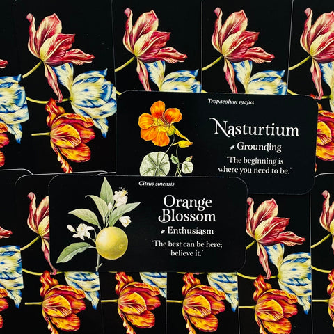 The Language Of Flowers Inspiration Cards Deck Rockpool Publishing Cheralyn NEW
