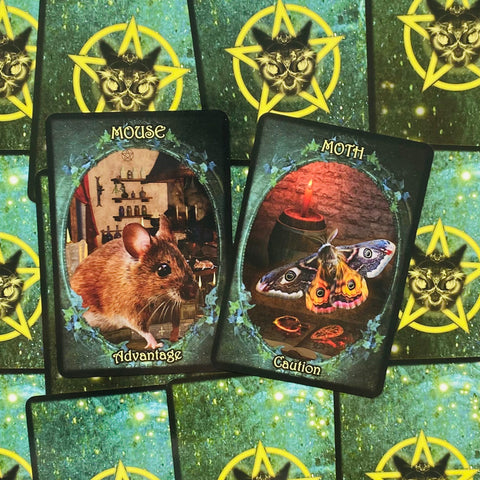 Witches Familiars Oracle Solarus Cards And Guidebook Set Kate Osborne NEW