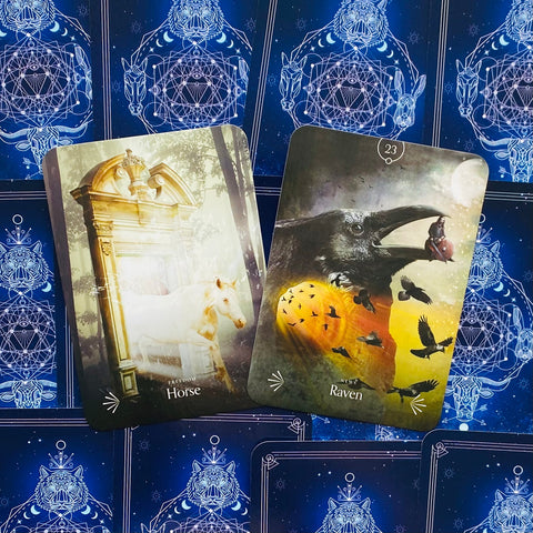 Divine Animals Oracle Cards Deck Rockpool Publishing Stacey Demarco Kinga NEW