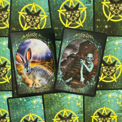 Witches Familiars Oracle Solarus Cards And Guidebook Set Kate Osborne NEW