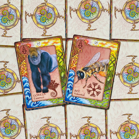 World Animal Dreaming Oracle Cards Deck Expanded Scott King Edition Esoteric NEW