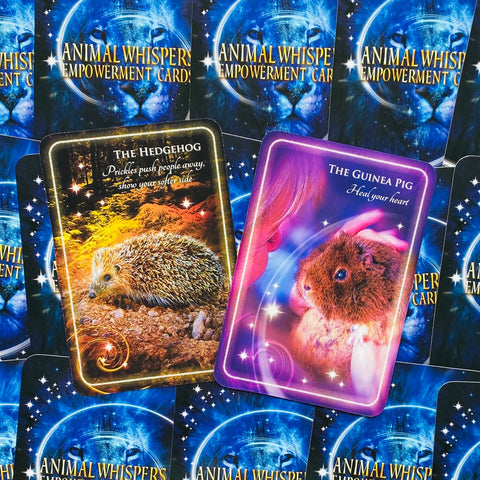 Animal Whispers Empowerment Cards Deck Esoteric Madeleine Walker Findhorn Fhp05