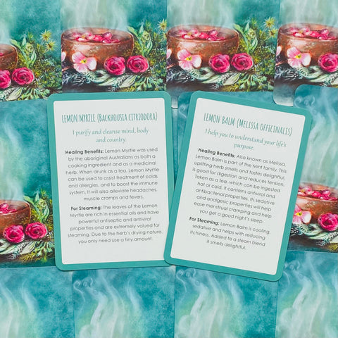 Womb Medicine Healing Cards By Sali Mcintyre Animal Dreaming Publishing Ad19