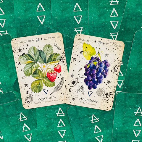 Green Witch Oracle Cards Deck Rockpool Esoteric Divination Cheralyn Darcey NEW