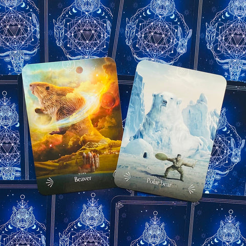 Divine Animals Oracle Cards Deck Rockpool Publishing Stacey Demarco Kinga NEW