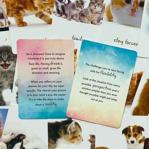 Cat Wisdom Cards Deck Inspirational Uplifting Tanya Graham Blue Angel NEW