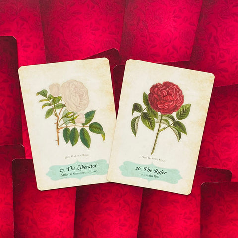 Oracle Of The Roses Cards Rockpool Cheralyn Darcey 44 Divinely Illustrated NEW