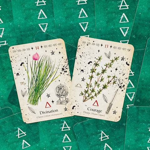 Green Witch Oracle Cards Deck Rockpool Esoteric Divination Cheralyn Darcey NEW