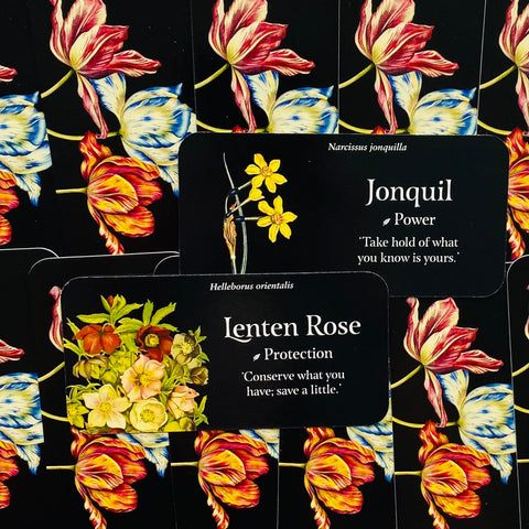 The Language Of Flowers Inspiration Cards Deck Rockpool Publishing Cheralyn NEW