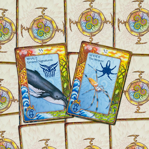 World Animal Dreaming Oracle Cards Deck Expanded Scott King Edition Esoteric NEW