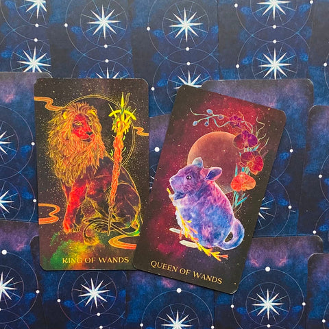 Oriens Animal Tarot Cards Deck Ambi Sun Nature Gift For Art Lovers Rockpool NEW