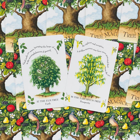 The Tree Magick Oracle Cards Deck & Illustrated Book Cico Books Gillian Kemp NEW