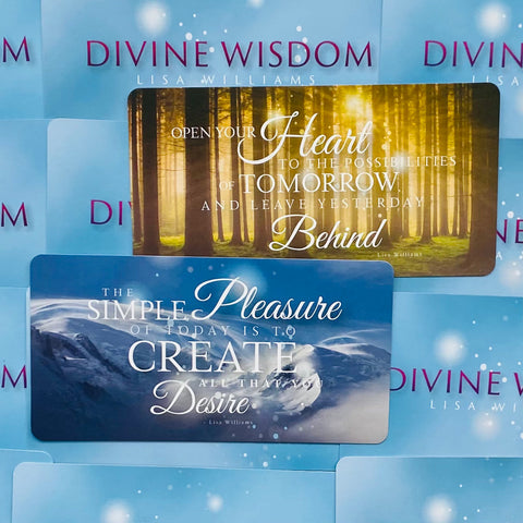 Divine Wisdom Affirmation Cards Deck Animal Dreaming Lisa Williams Esoteric NEW
