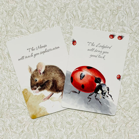 Power Animals Cards Deck Spirit Guides For Your Spiritual Life Esoteric Agm NEW