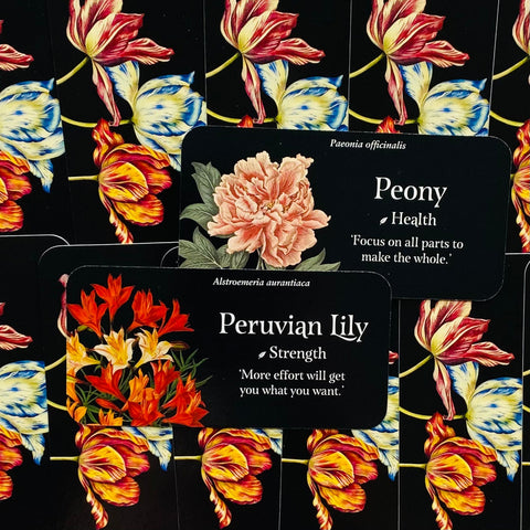 The Language Of Flowers Inspiration Cards Deck Rockpool Publishing Cheralyn NEW
