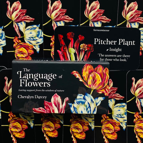 The Language Of Flowers Inspiration Cards Deck Rockpool Publishing Cheralyn NEW