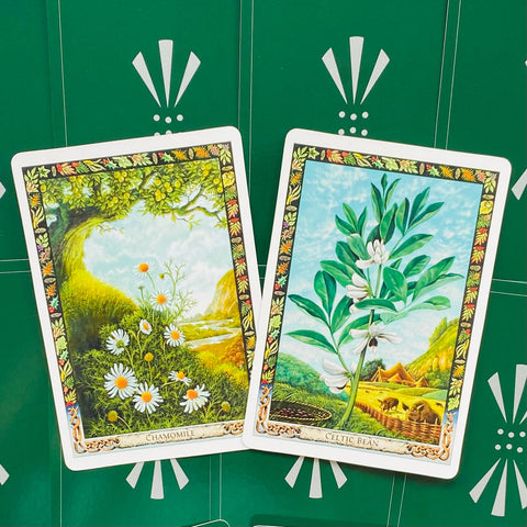 The Druid Plant Oracle Cards & Guidebook Welbeck Publishing