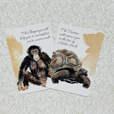 Power Animals Cards Deck Spirit Guides For Your Spiritual Life Esoteric Agm NEW