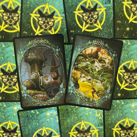 Witches Familiars Oracle Solarus Cards And Guidebook Set Kate Osborne NEW