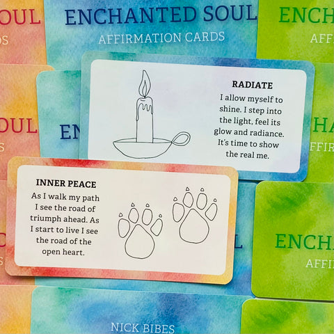 Enchanted Soul Affirmation Cards Animal Dreaming Nick Bibes Esoteric Fortune NEW