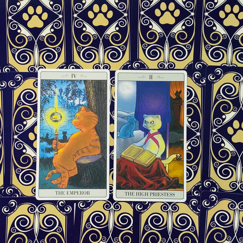 The Way Jodorowsky Explained Tarot To His Cat Deck Major Cards Lo Scarabeo NEW