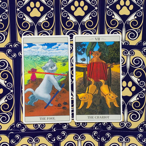 The Way Jodorowsky Explained Tarot To His Cat Deck Major Cards Lo Scarabeo NEW