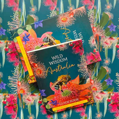 Wild Wisdom Australia Oracle Cards Deck Blue Angel K.Roberts - B.Hughes