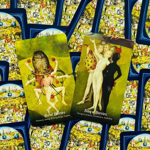 Hieronymus Bosch Tarot Cards Travis Mchenry Deck Shock Captivating Rockpool NEW