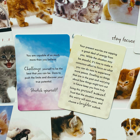 Cat Wisdom Cards Deck Inspirational Uplifting Tanya Graham Blue Angel NEW