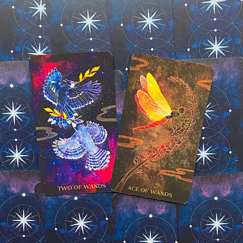 Oriens Animal Tarot Cards Deck Ambi Sun Nature Gift For Art Lovers Rockpool NEW