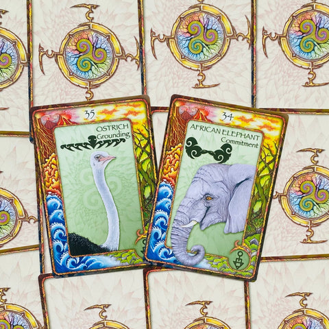 World Animal Dreaming Oracle Cards Deck Expanded Scott King Edition Esoteric NEW