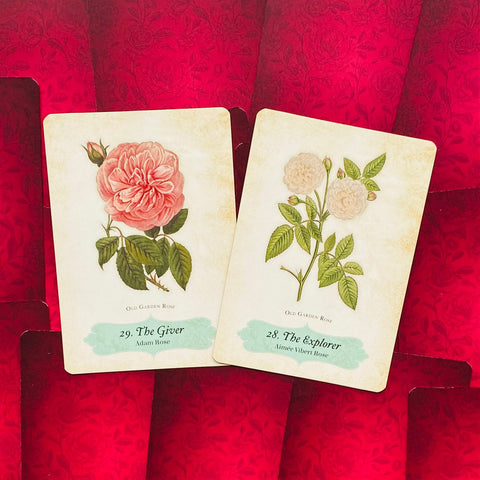 Oracle Of The Roses Cards Rockpool Cheralyn Darcey 44 Divinely Illustrated NEW