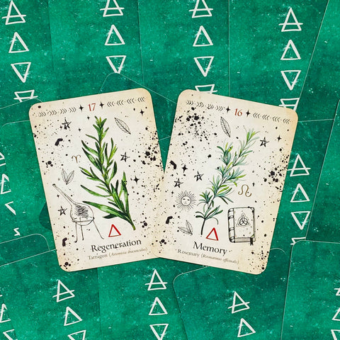 Green Witch Oracle Cards Deck Rockpool Esoteric Divination Cheralyn Darcey NEW
