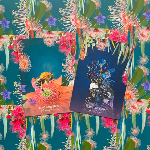 Wild Wisdom Australia Oracle Cards Deck Blue Angel K.Roberts - B.Hughes