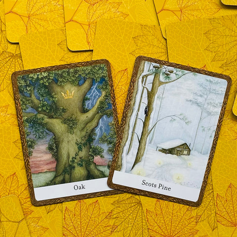 The Wisdom Of Trees Oracle Cards Deck Watkins Publishing By Jane Struthers NEW