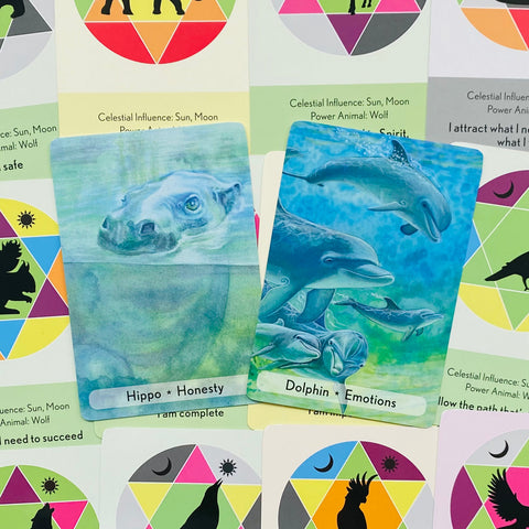 Enchanted Animal Oracle Cards Animal Dreaming
