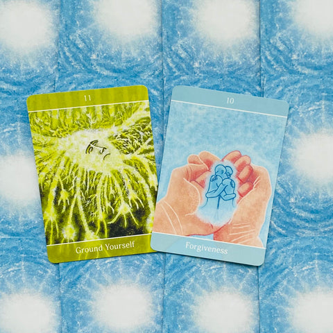 Beyond The Illusions Oracle Cards Deck Animal Dreaming By Timothy Nilsson NEW
