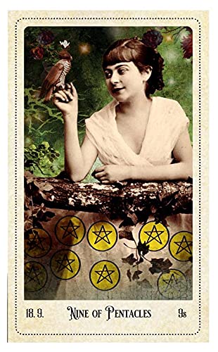 Relative Tarot Cards Deck Weiser Books Carrie Paris 82 Cards And Guidebook NEW