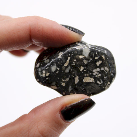 12 Medium African Tumble Stones - Guinea Fowl - Gemstones Ancient Wisdom NEW