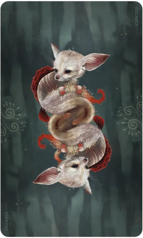 Wisdom Of The Wild Things Oracle Cards Deck & Guidebook Evaboneva