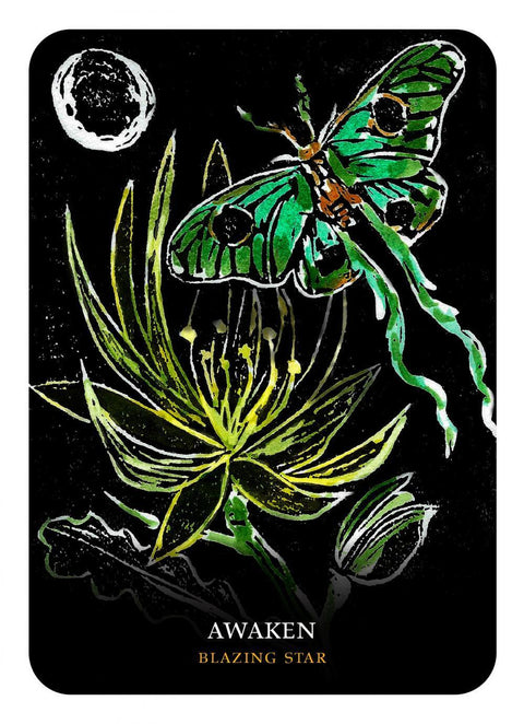 Flowers Of The Night Oracle Cheralyn Darcey Rockpool Publishing Inspiration NEW