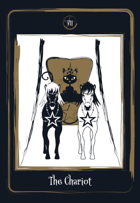 Golden Black Cat Tarot Cards Deck Agm Urania Helena De Almeida Cats Fans NEW