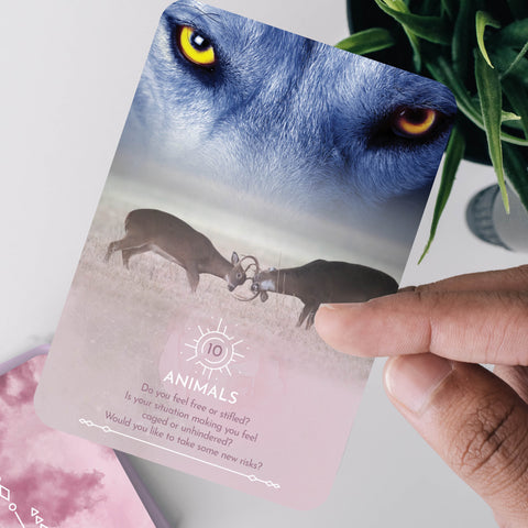 Dream Reading Cards Deck Rockpool Rose Inserra Awaken Intuitive Subconscious NEW